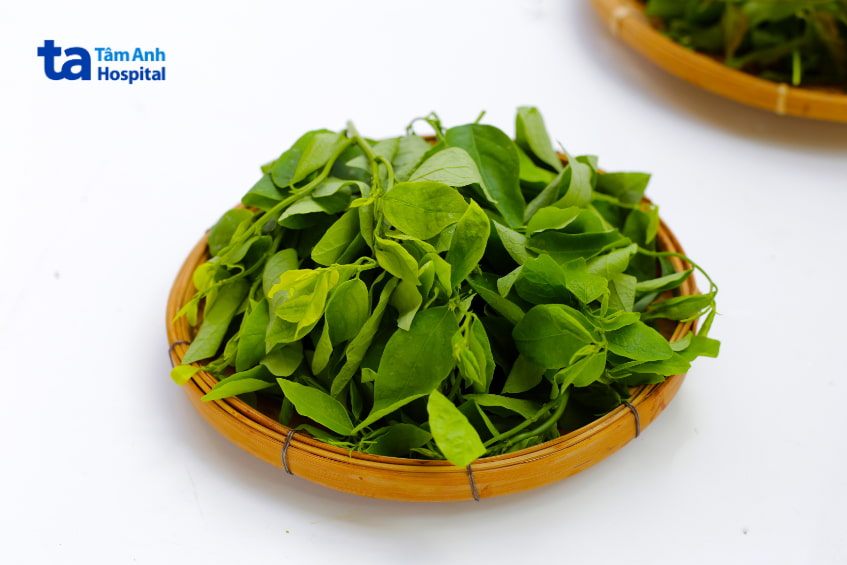 Bầu Ăn Rau Ngót Được Không? Bác Sĩ Tư Vấn Kỹ Đĩa Rau Ngót Tươi Xanh Được Bày Trong Mẹt Tre, Thực Phẩm Phổ Biến Trong Bữa Ăn Của Người Việt