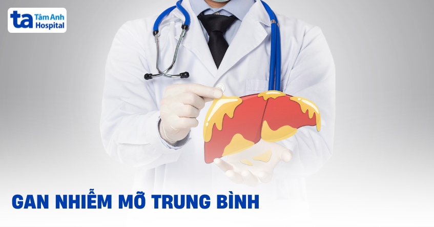 Bệnh gan nhiễm mỡ trung bình và thông tin quan trọng