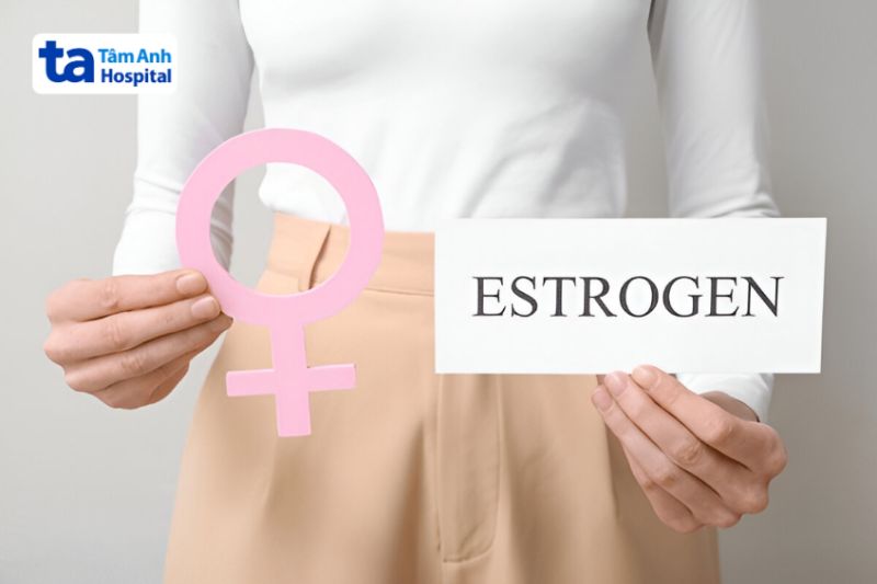 hormone estrogen tiết ra gây bệnh lupus