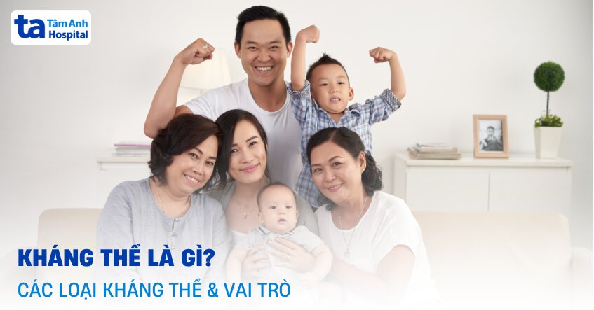 Kháng thể là gì? Có những loại nào? Vai trò trong cơ thể