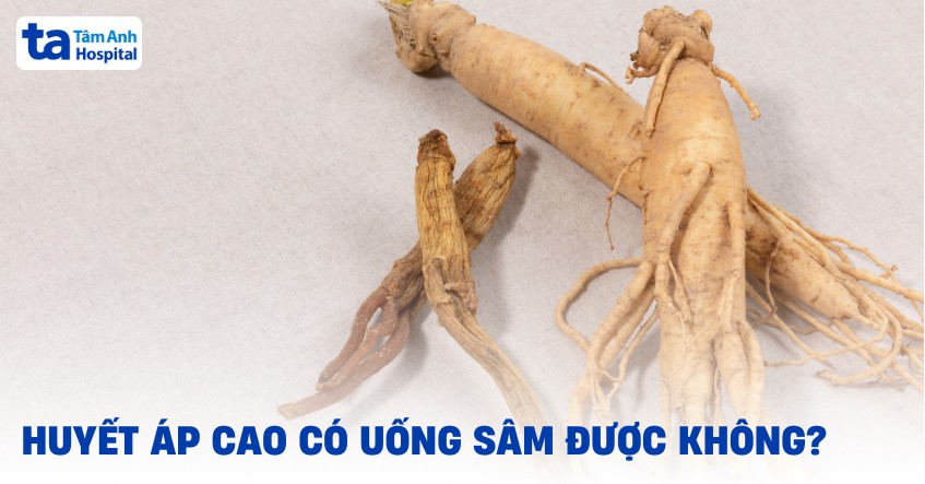 Người huyết áp cao có uống được sâm không? Hồng sâm thì sao?