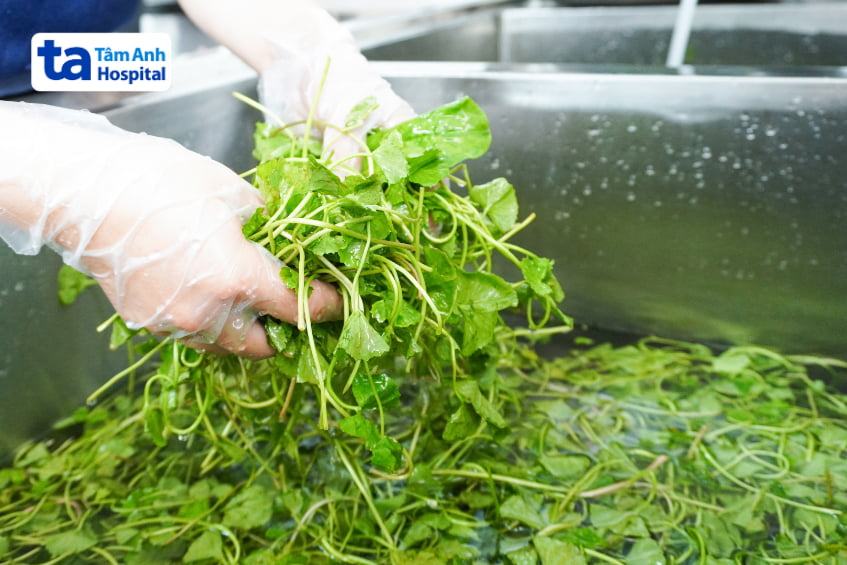 Nhân viên đeo găng tay rửa rau má sạch sẽ dưới vòi nước trong bồn inox