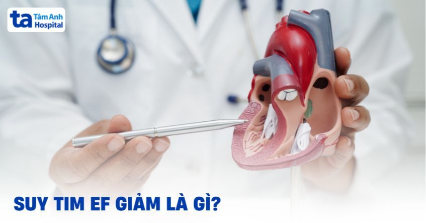 Suy tim EF giảm: Nguyên nhân, triệu chứng, chẩn đoán, phòng ngừa