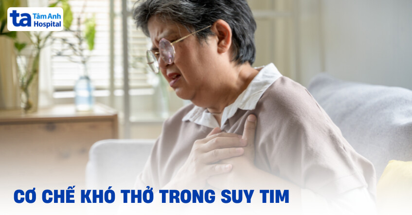 Tại sao suy tim gây khó thở? Cơ chế, đặc điểm và cách cải thiện