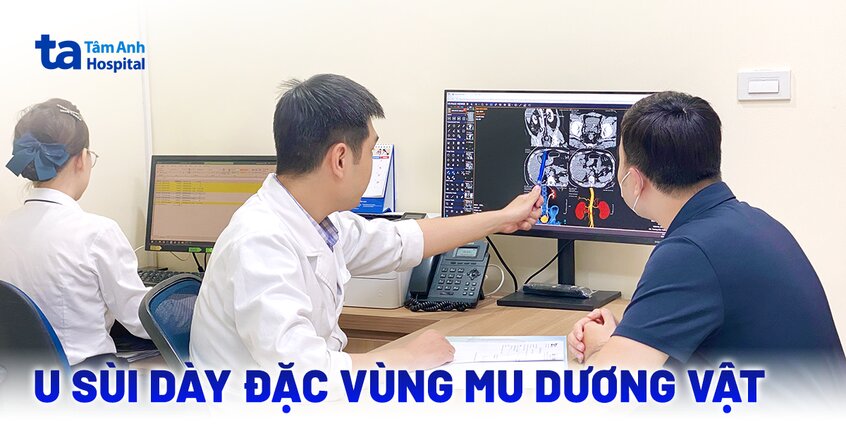 U sùi dày đặc vùng mu dương vật