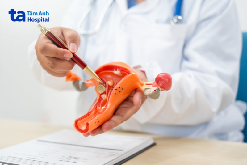 bác sĩ tư vấn khám chữa