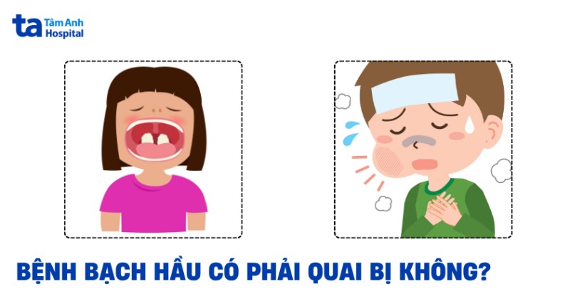 Giải đáp: Bạch hầu có phải quai bị không?