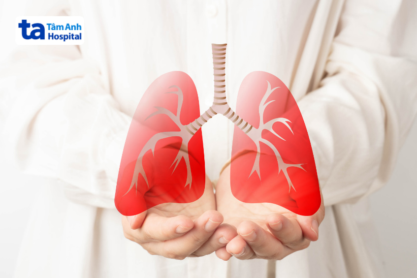 Hình ảnh lá phổi được nâng niu trên tay, biểu trưng cho việc bảo vệ sức khỏe hô hấp