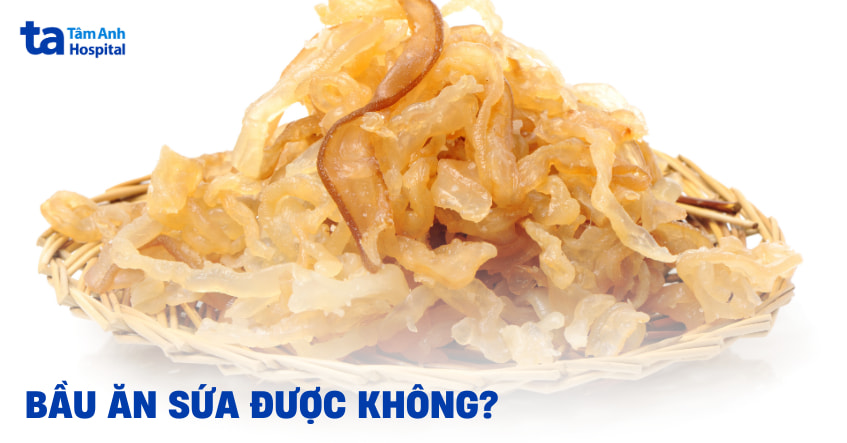Bầu ăn sứa được không theo chuyên gia dinh dưỡng?