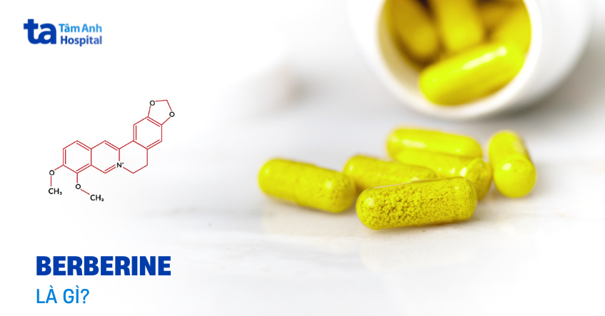 Berberine: Cách dùng, liều lượng và những lưu ý quan trọng