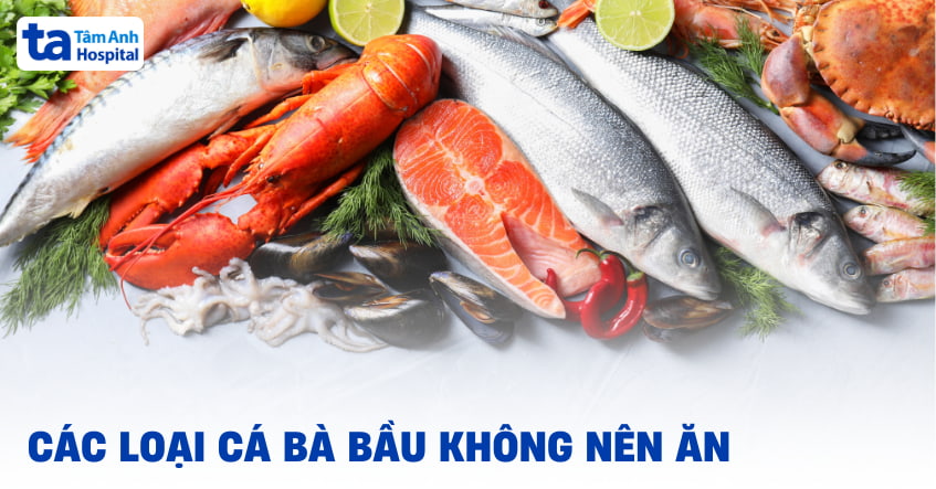 Các loại cá bà bầu không nên ăn vì dễ gây hại cho thai nhi