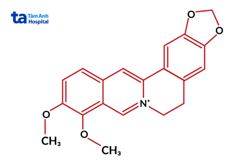 Công thức cấu trúc phân tử Berberine – hợp chất alkaloid tự nhiên