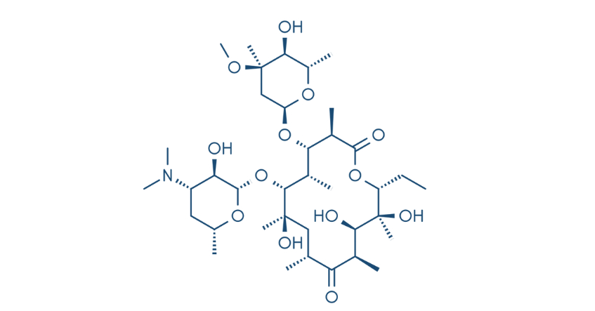 Công thức cấu trúc phân tử của kháng sinh erythromycin dạng macrolide