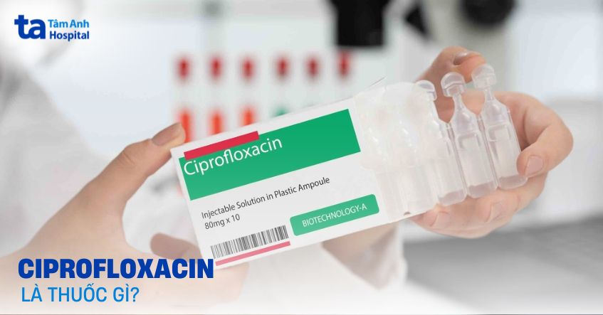Ciprofloxacin là gì? Công dụng, chỉ định và chống chỉ định