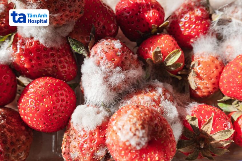 dâu tây thối xuất hiện nấm mốc do để lâu, bảo quản sai cách