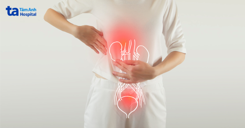 Minh họa vị trí đau vùng tiết niệu, liên quan đến nhiễm khuẩn có thể điều trị bằng sultamicillin