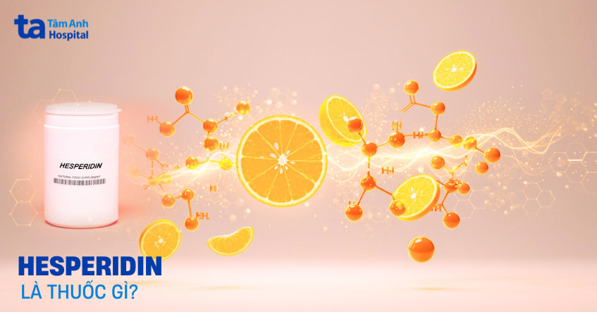 Hesperidin là gì? Tác dụng, nguồn gốc và cách sử dụng đúng
