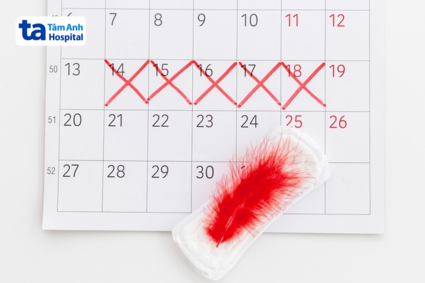 người bệnh suy giáp có thể mất lượng máu kinh nhiều hơn