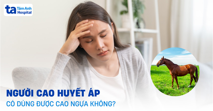 Người cao huyết áp có dùng được cao ngựa không?