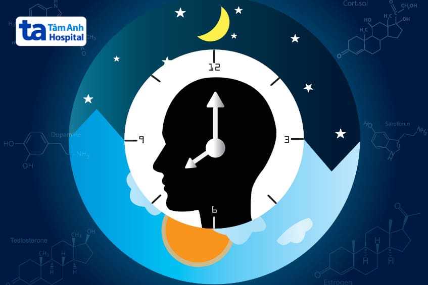 nhịp sinh học hàng ngày