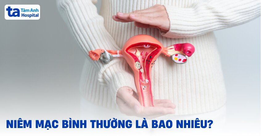 Niêm mạc bình thường là bao nhiêu? Mấy mm thì tốt?