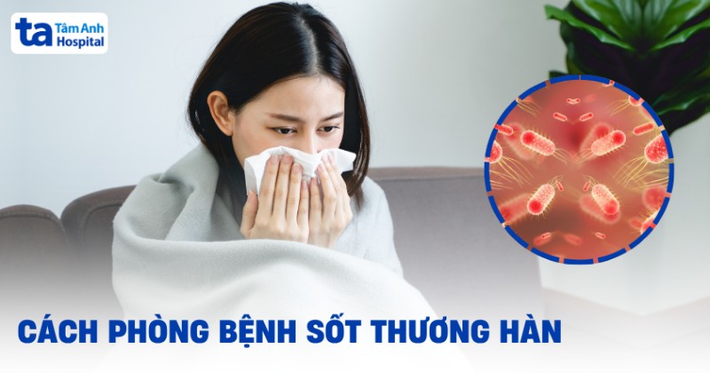 Làm sao phòng bệnh thương hàn, bảo vệ sức khỏe an toàn?
