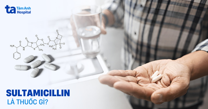 Sultamicillin là gì? Tác dụng, liều dùng và chỉ định phổ biến