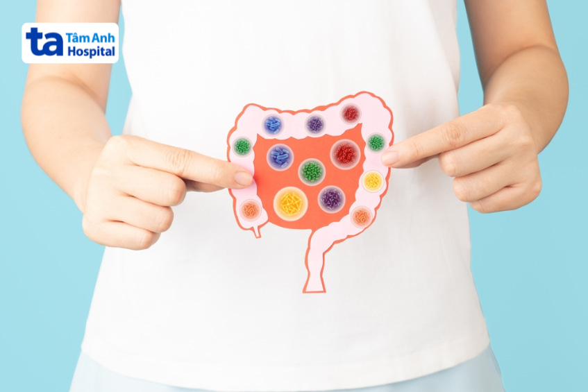 Hình ảnh đại tràng và vi khuẩn đường ruột, liên quan đến tác dụng Berberine