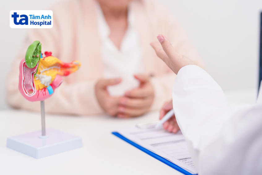 Bác sĩ tư vấn điều trị sỏi mật với mô hình trực quan của hệ tiêu hóa trên bàn làm việc