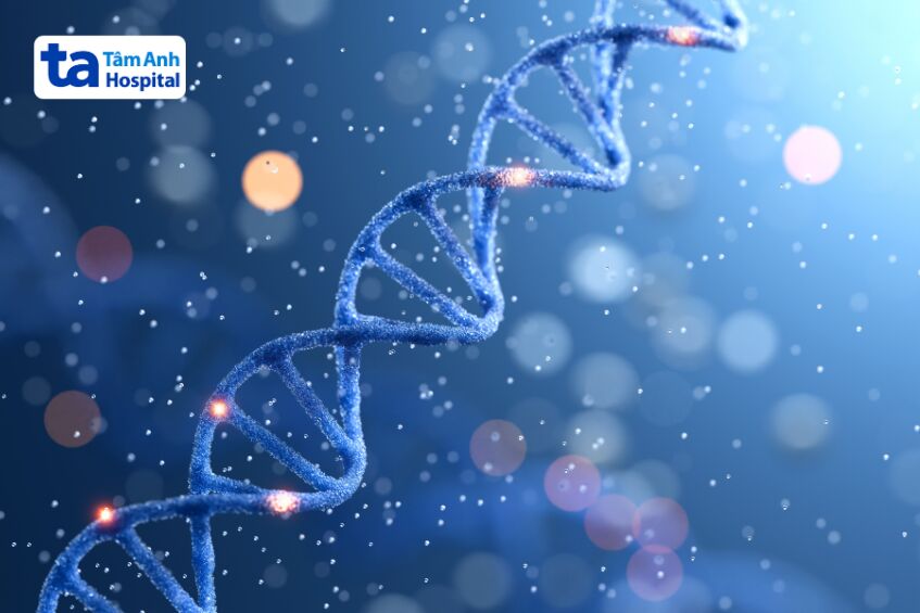 Xét nghiệm gen xác định các bất thường di truyền ảnh hưởng đến khả năng sinh tinh ở nam giới
