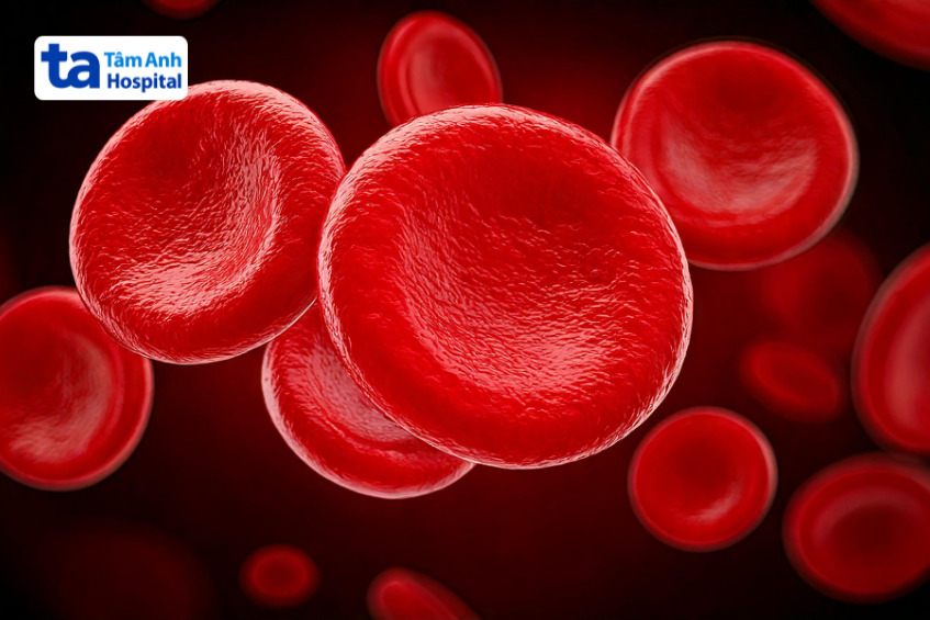 ảnh mô phỏng các tế bào hồng cầu