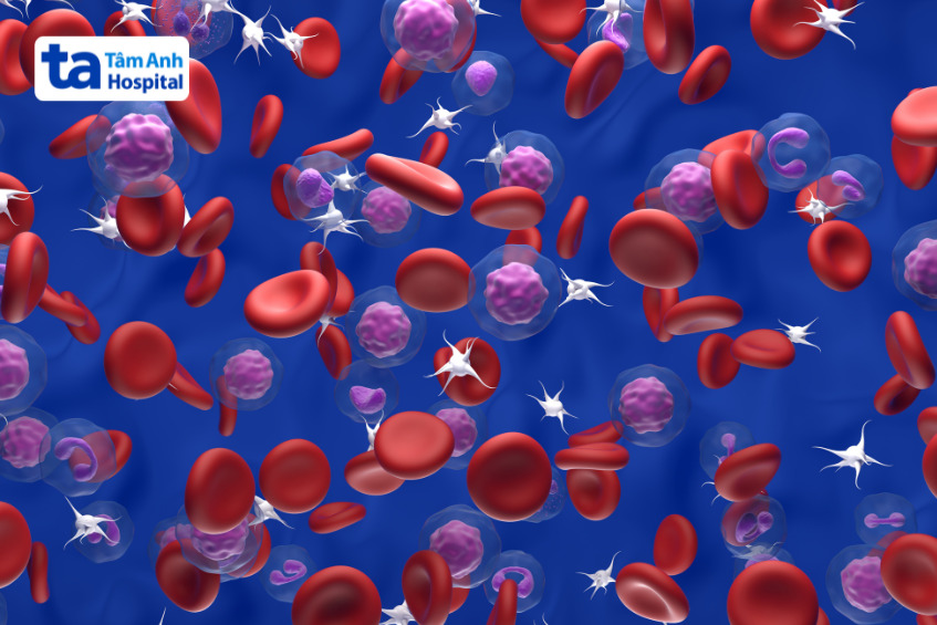 ảnh mô phỏng tình trạng đa hồng cầu