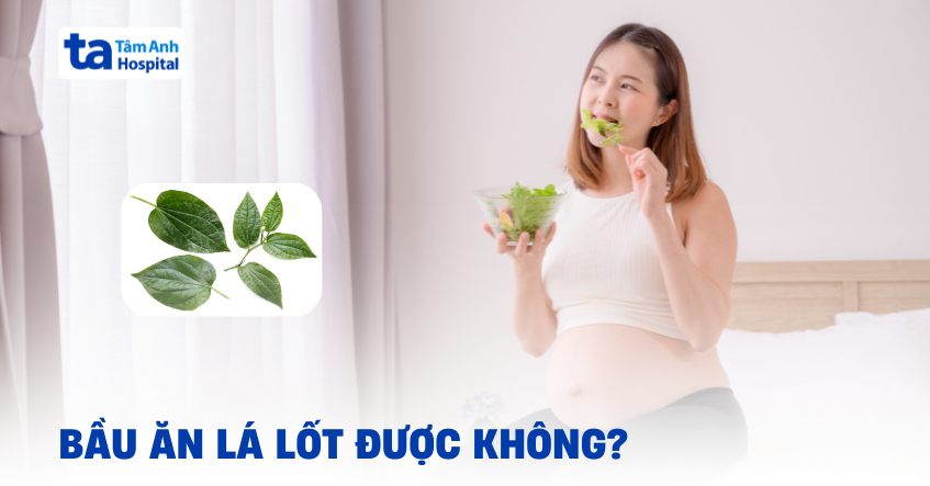 Bầu ăn lá lốt được không? Có gây nóng trong người hay không?