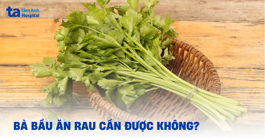 Bầu ăn rau cần được không? Có khác biệt giữa cần tây và cần ta không?