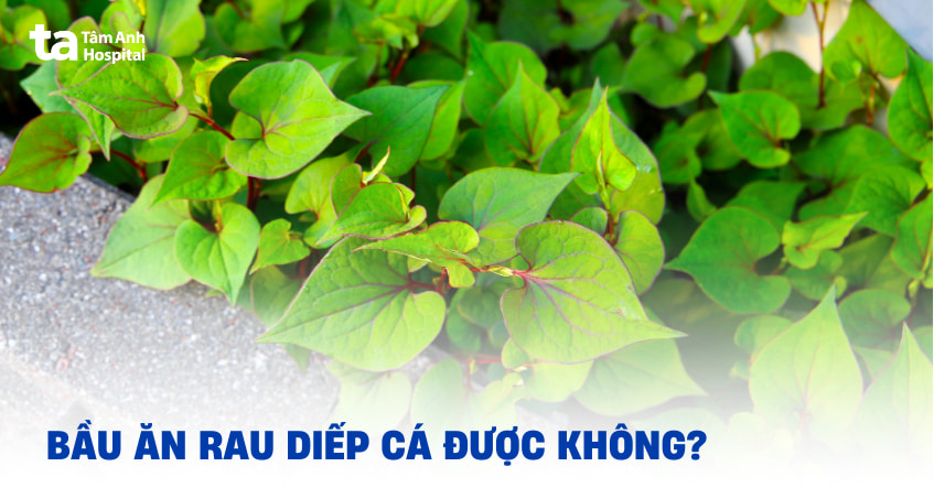 Bầu ăn rau diếp cá được không? Có ảnh hưởng đến thai nhi không?