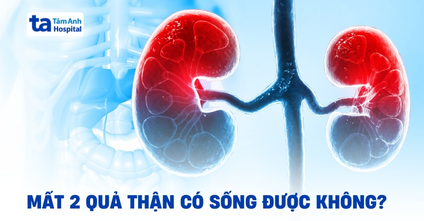 Giải đáp: Cắt 2 quả thận có sống được không?