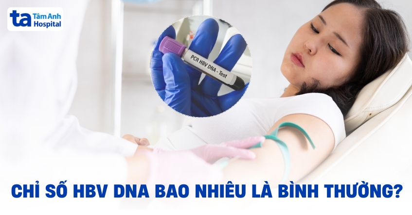 Chỉ số HBV DNA bao nhiêu là bình thường?