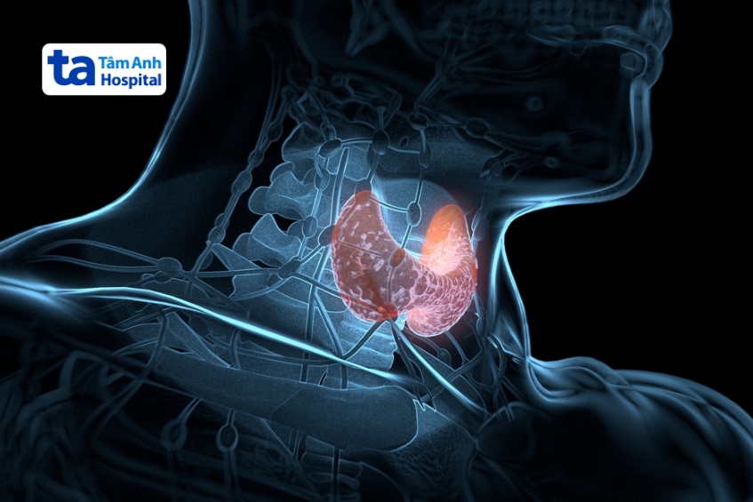 chưa có nghiên cứu nào cho thấy ăn giá đỗ gây hại