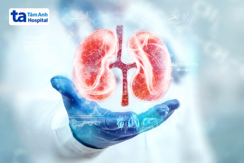 chức năng sinh lý của thận ra sao