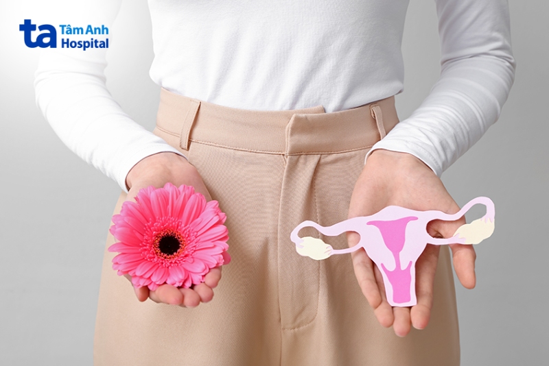 giải phẫu buồng trứng phải