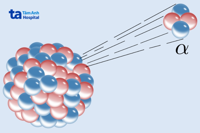 hạt alpha có năng lượng cao, xuyên kém, nguy hiểm khi vào cơ thể qua hô hấp, tiêu hóa
