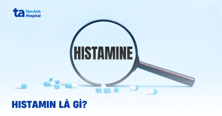 Histamin là gì? Tác động lên cơ thể qua 4 loại thụ thể H1-H4