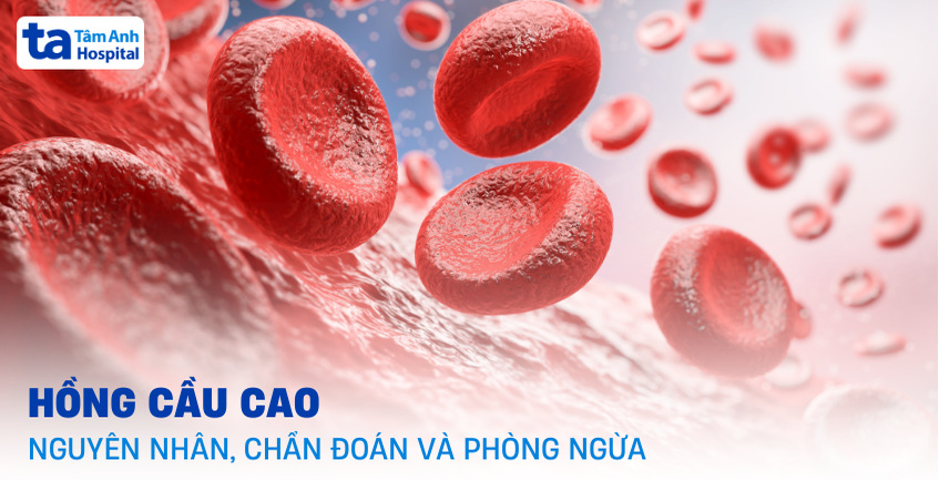 Hồng cầu cao là bệnh gì? Nguyên nhân, triệu chứng và phòng ngừa