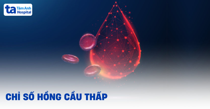 Chỉ số hồng cầu thấp là bao nhiêu? Nguyên nhân và cách điều trị