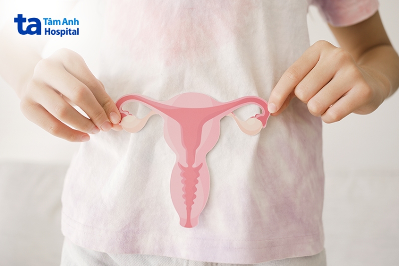 mô hình buồng trứng