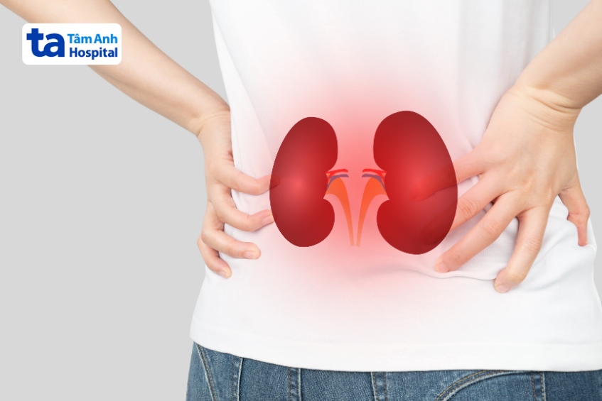 Một số loại thuốc hạ huyết áp có thể ảnh hưởng đến tế bào renin trong thận, làm các tế bào mạch máu thận dày lên