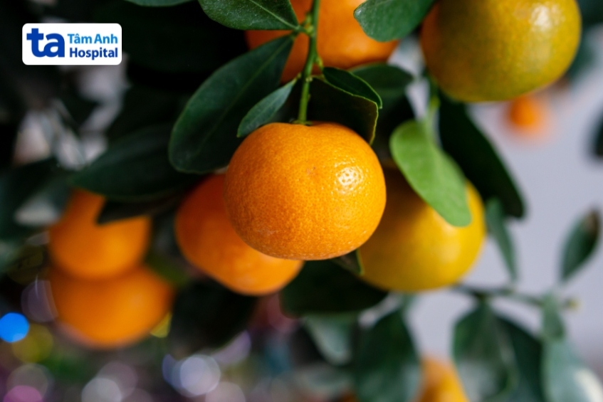 người bệnh có thể ăn cam, chanh, bưởi và quýt thường xuyên