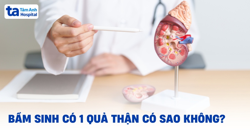 Lời khuyên cho người có một quả thận bẩm sinh duy trì sức khỏe