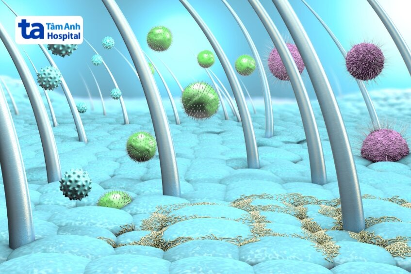 nguyên nhân nào gây ra kerion