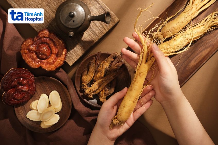 Nhân sâm đem lại nhiều lợi ích cho sức khỏe nếu dùng đúng cách